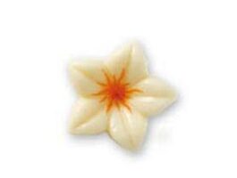 catalogo-pasticceria-aggiornato-2-597