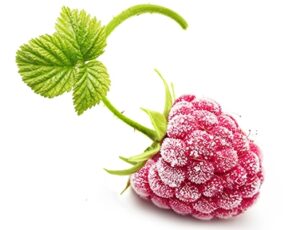 frutta surgelata gelateria dolcelinea