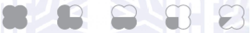 fiorellini-flower-per-la-colorazione-in-pasticceria-da-dolcelinea power flower dosaggio colorante per dolcelinea